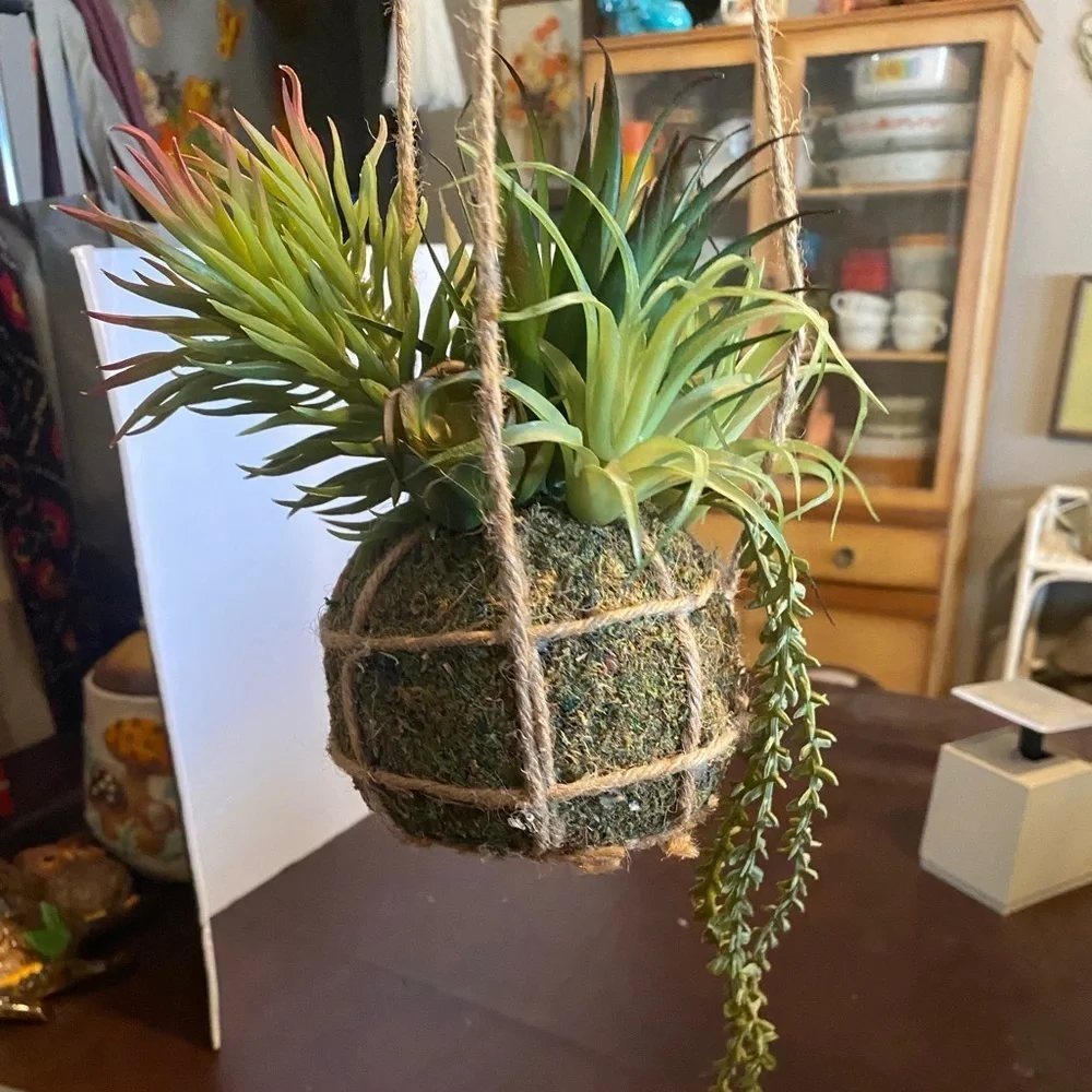 Hanging faux succulents